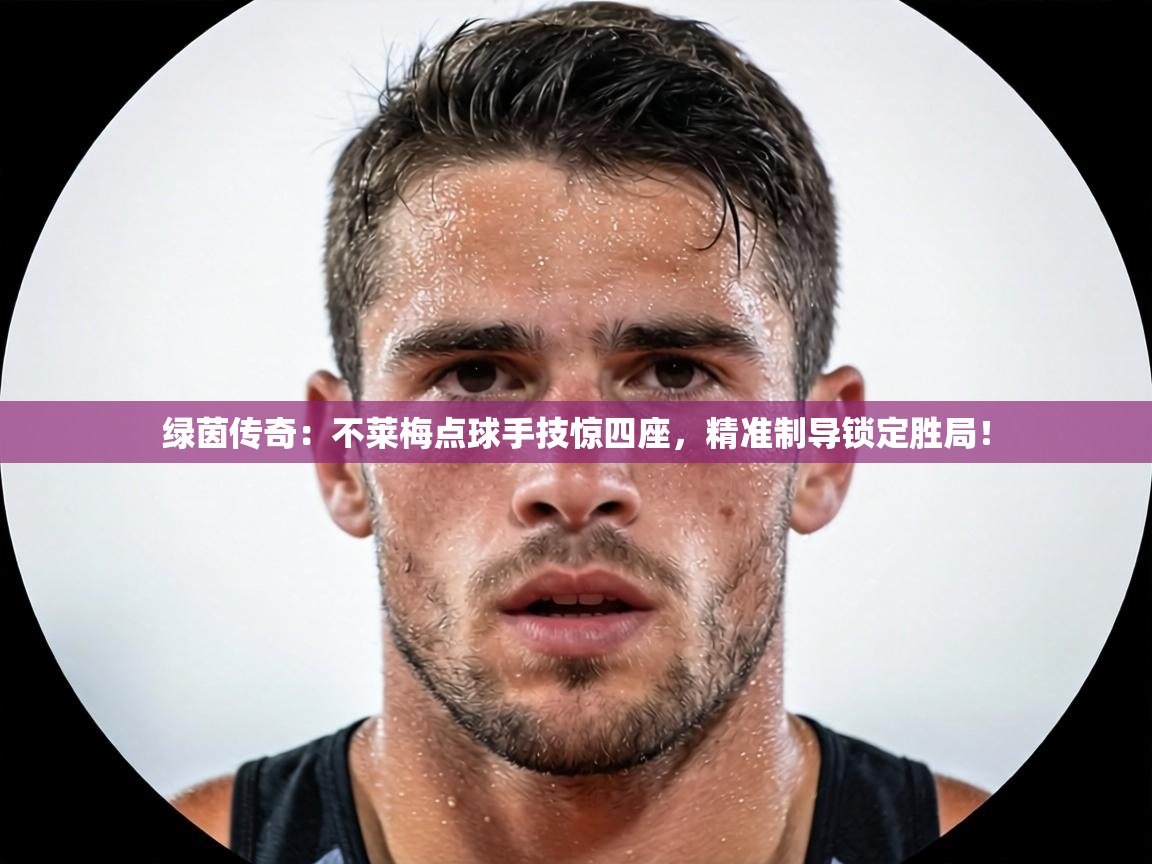 绿茵传奇:不莱梅点球手技惊四座,精准制导锁定胜局! 第2张